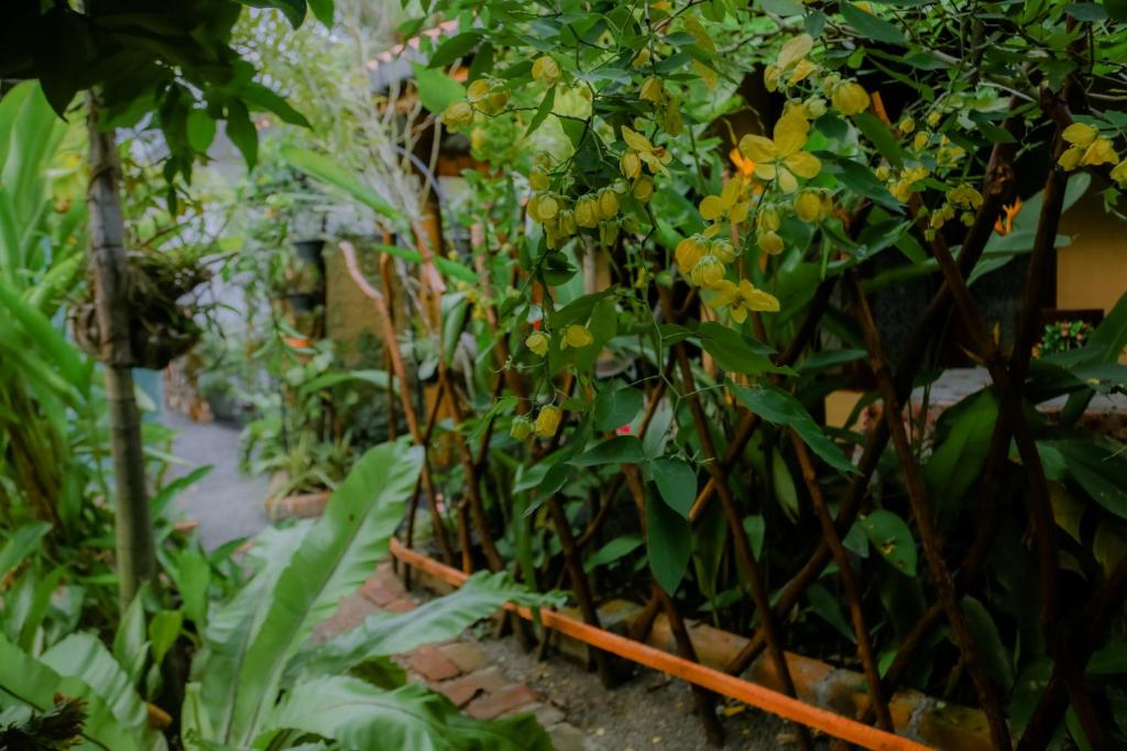 Zahrada ubytování Ruwan Jungle Homestay