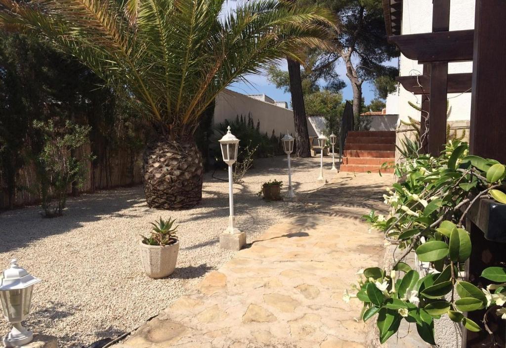 A garden outside Casa Pera