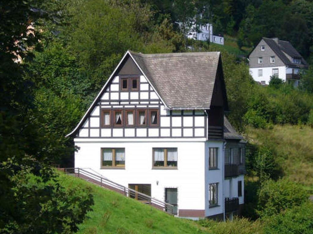 a white house on the side of a hill at Spacious holiday home with private terrace in Schmallenberg