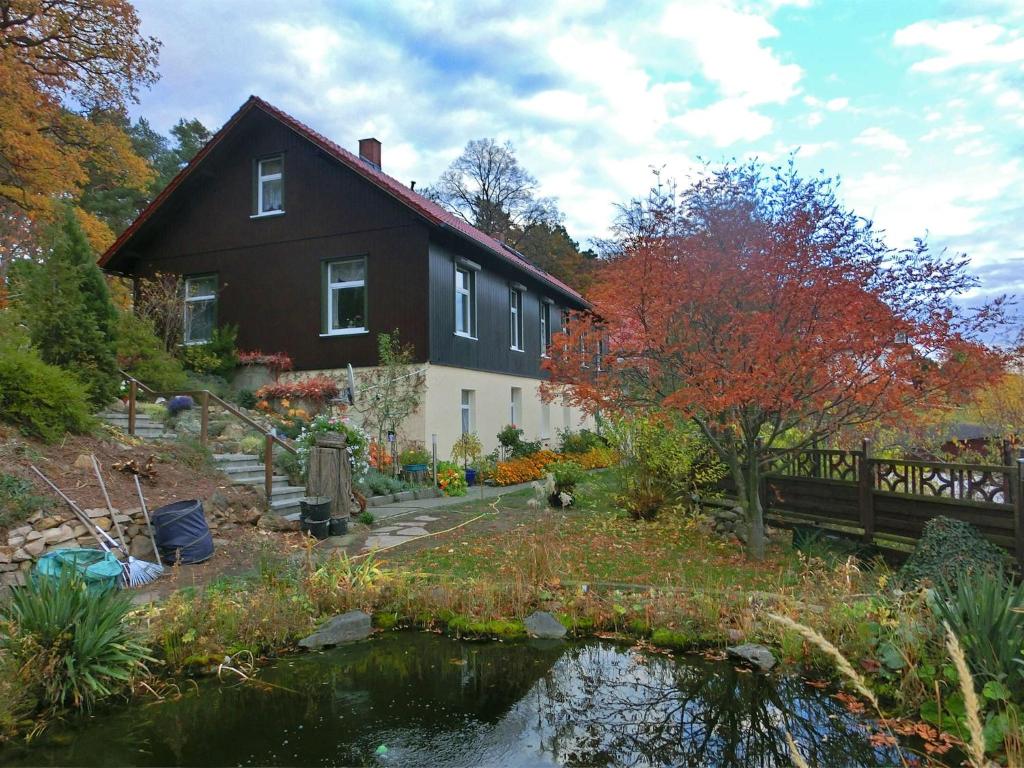 a house with a pond in front of it at Spacious apartment in Harz near ski area in Blankenburg