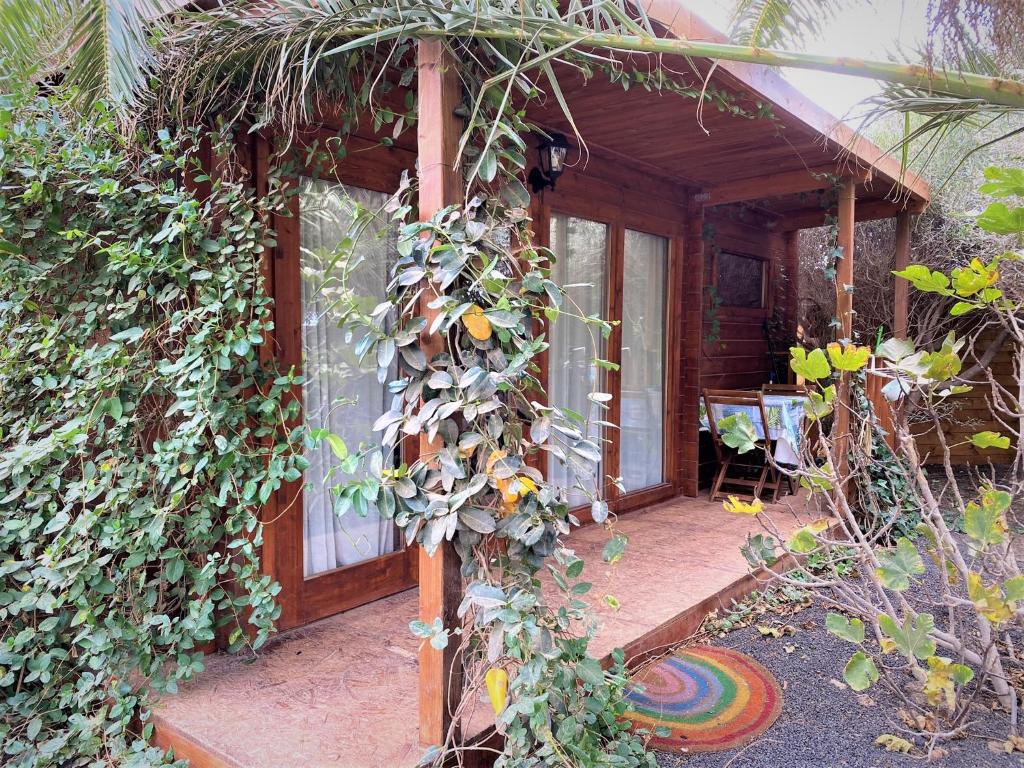 Zahrada ubytování CabanaLanz, Cabañas en Lanzarote