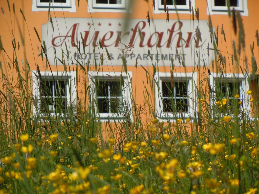 Zahrada ubytování Hotel & Appartement Auerhahn