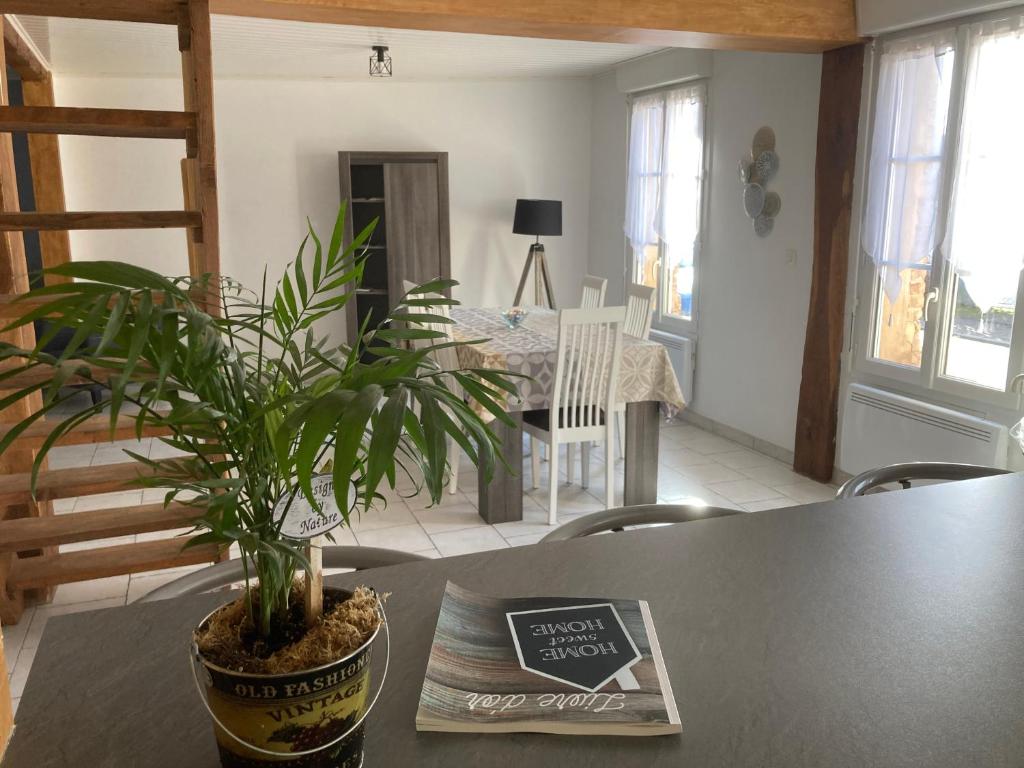 a plant sitting on a table in a living room at L'Aube en Somme in Millencourt-en-Ponthieu