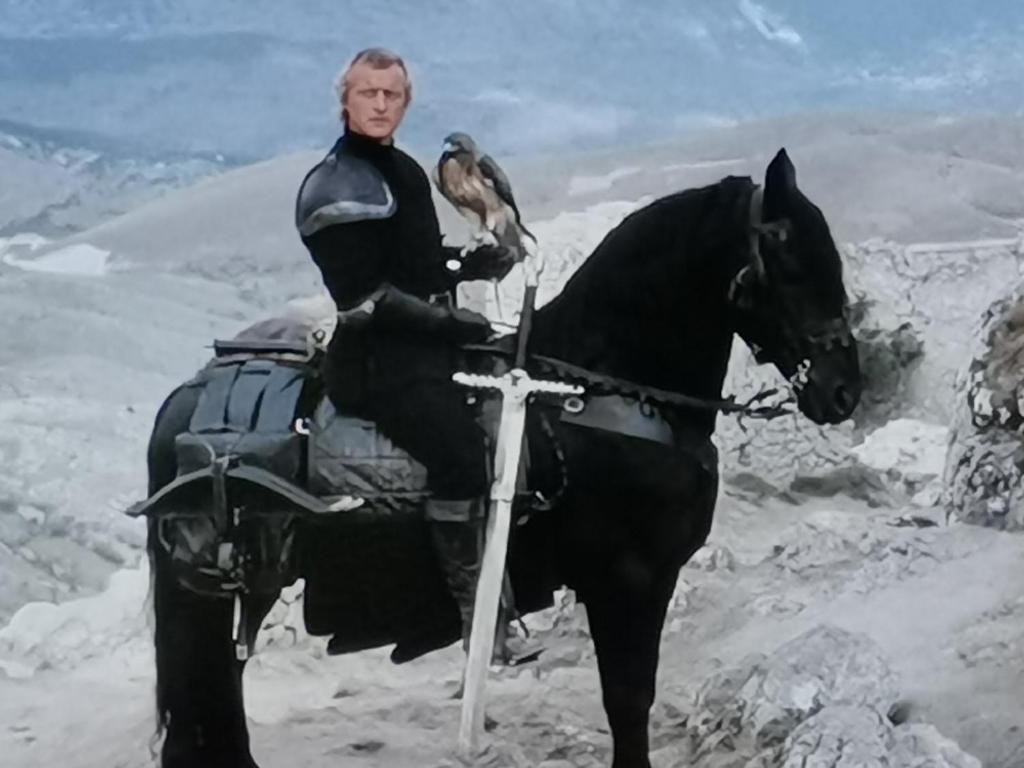 Zvířata v prázdninového domu nebo okolí