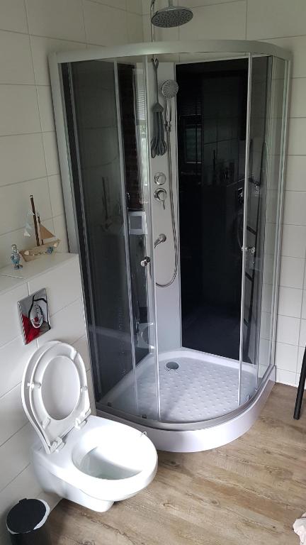 a bathroom with a shower and a toilet at 'T Wolthoes in Vlagtwedde