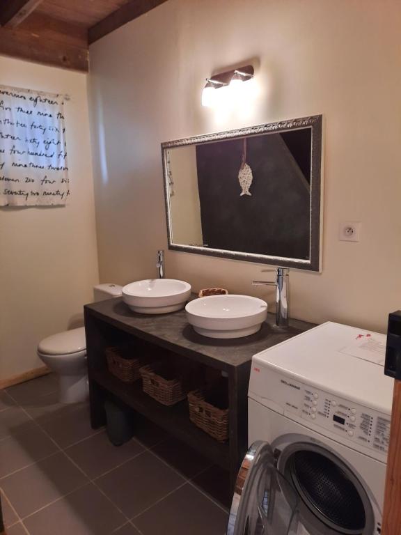 a bathroom with a sink and a washing machine at Gîte de l&#39;Ane Papillon-3 chb- piscine-jardin in Saint-Cirq-Souillaguet