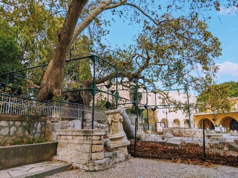 Fotografie z fotogalerie ubytování Amalthea Guest House ve městě Kos