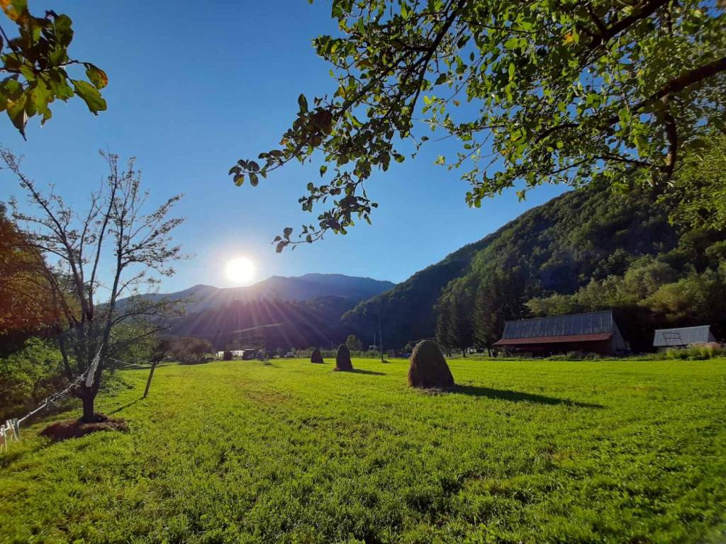 ein Grasfeld mit Sonne im Hintergrund in der Unterkunft Etno Konak MB in Kolašin