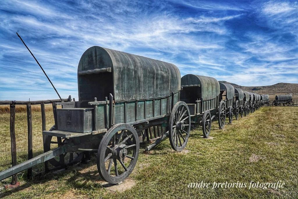a row of old train cars parked in a field at Blood River Museum Guesthouse in Dundee