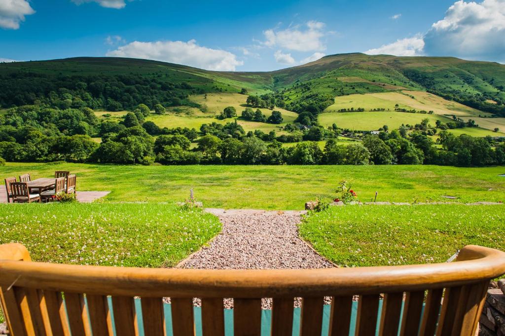 een grote houten stoel die voor een veld staat bij The Celyn in Pont Newydd