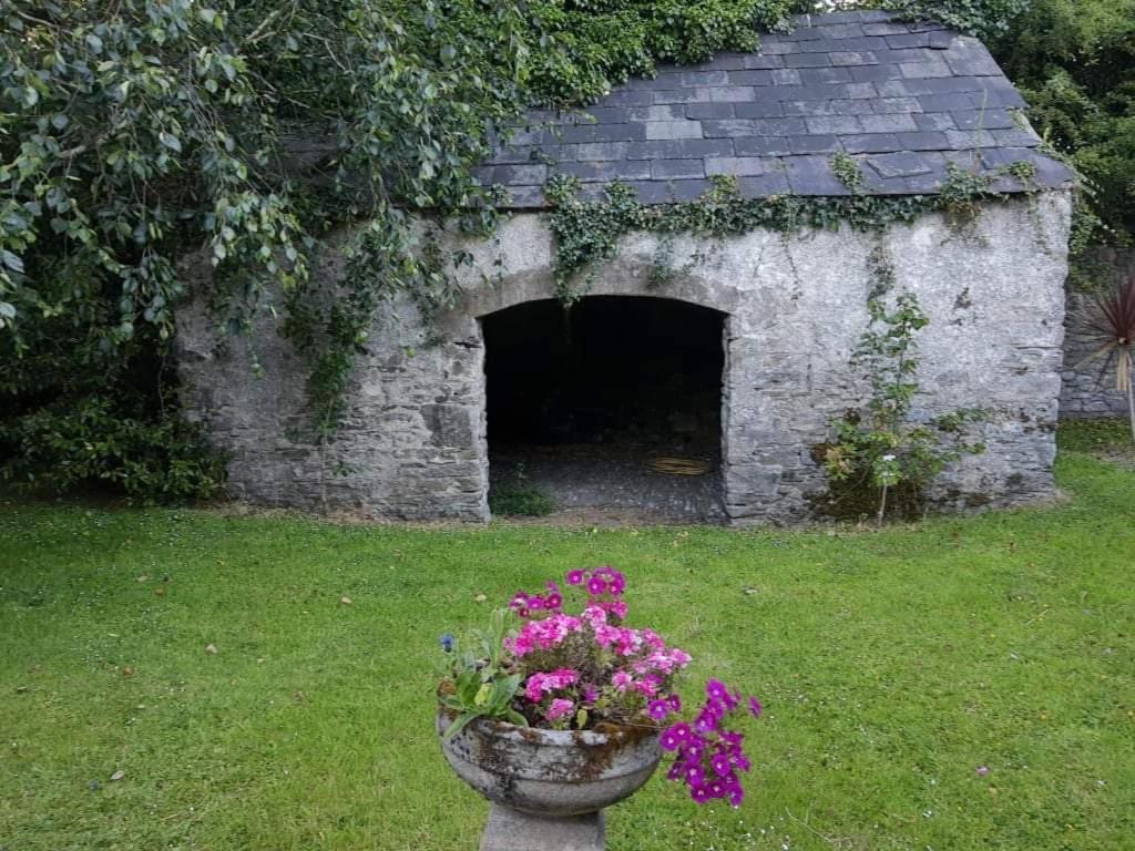 Zahrada ubytování Kilmahon House, P25A973