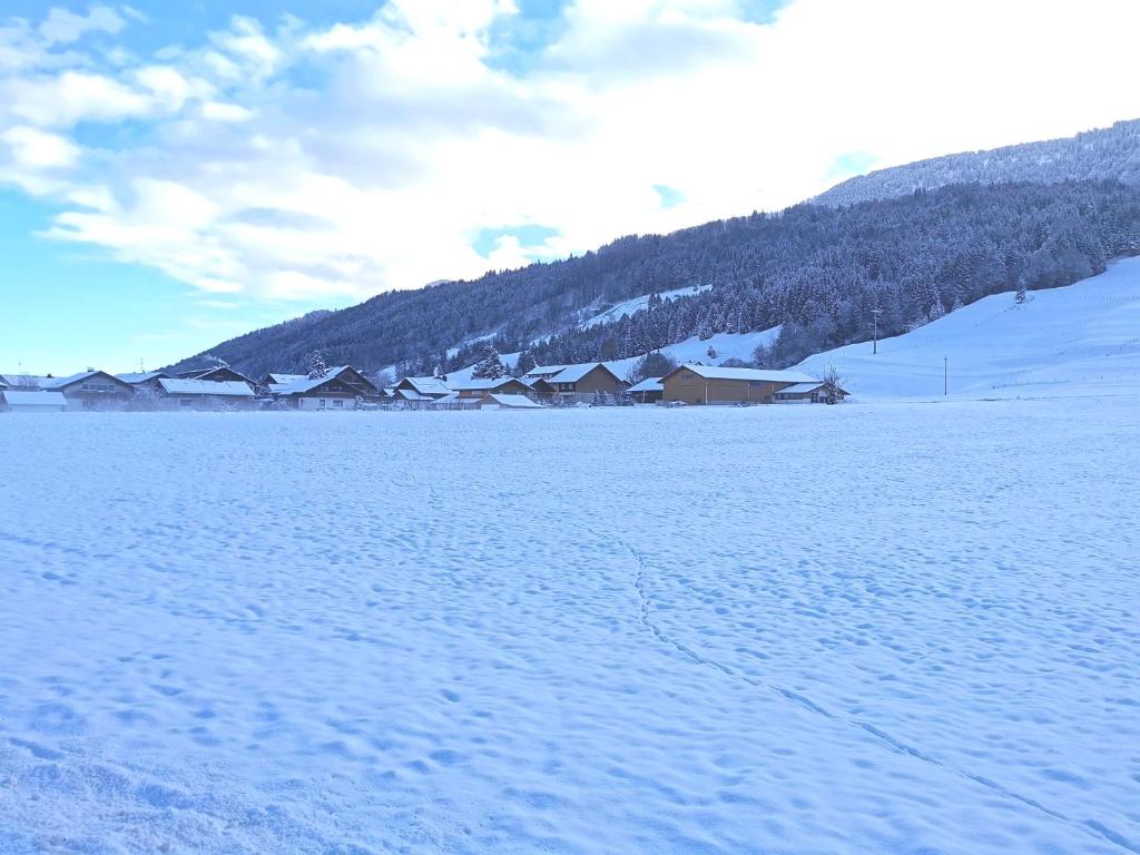 Naturlandschaft in der Nähe der Ferienwohnung