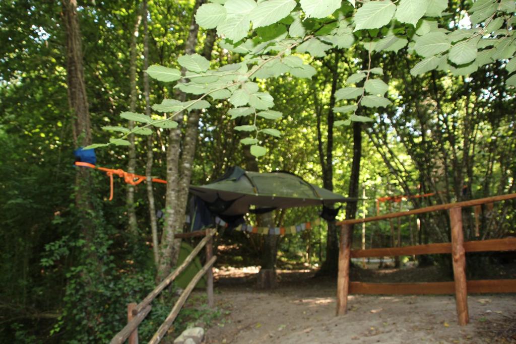 River Tribe Experience Camp