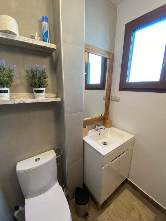 Łazienka z białą toaletą i umywalką w obiekcie Ferienhaus Dana w mieście Steinhaus am Semmering