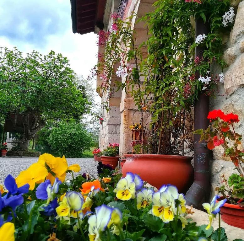 Villanueva de la Peña的住宿－瑪麗亞賓館，建筑前的一大束鲜花