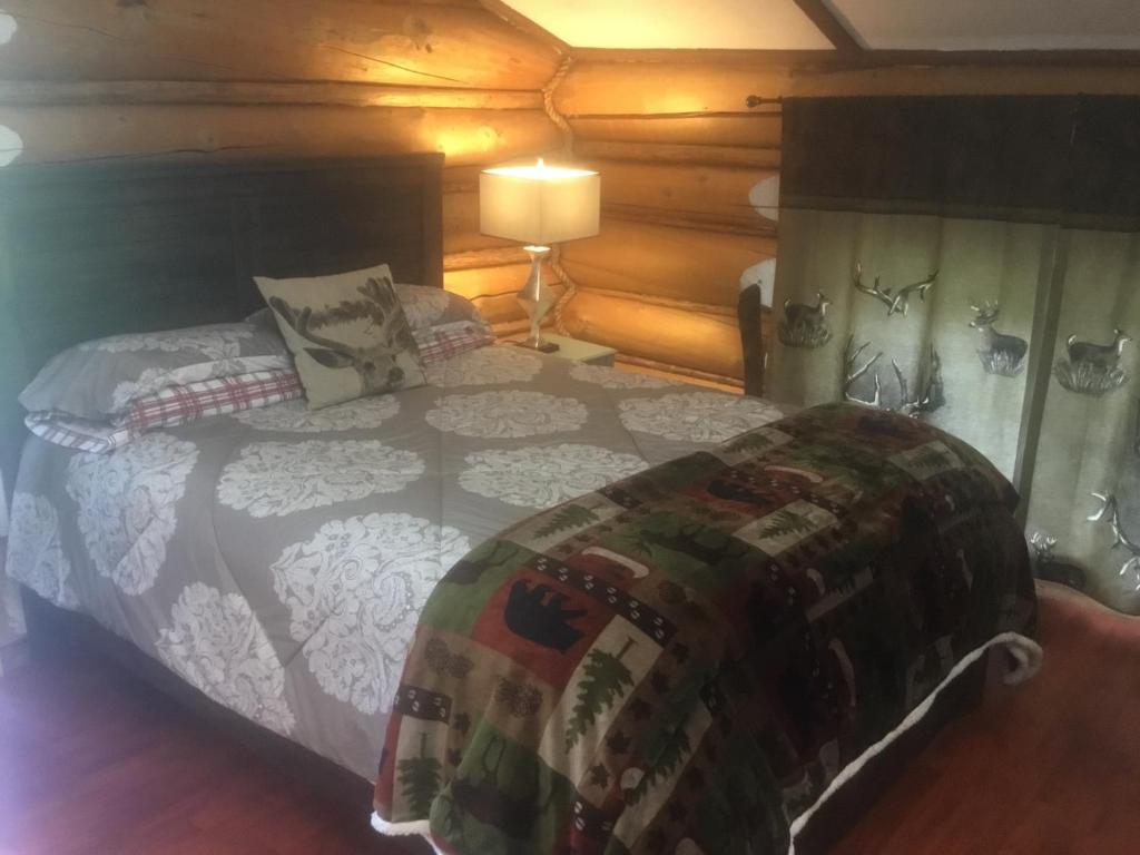 a bedroom with a large bed in a room at Tetsa River Lodge in Tetsa River