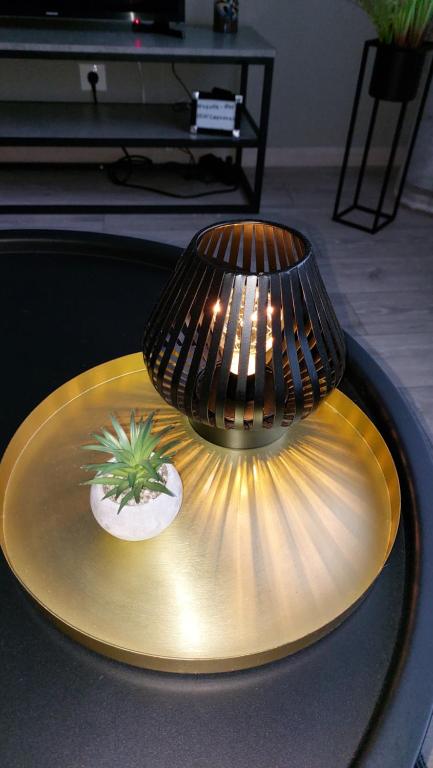 a lamp on a table with a plant on it at Cenkones Street Apartment in Liepāja