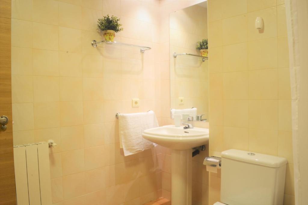 Koupelna v ubytování Apartament acollidor amb una gran llar de foc by RURAL D'ÀNEU
