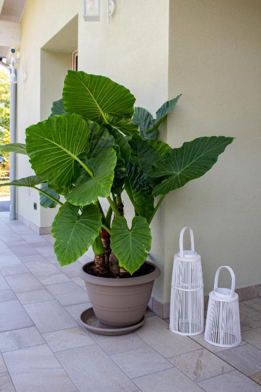 Zdjęcie z galerii obiektu Villa Calla w mieście Soiano del Lago