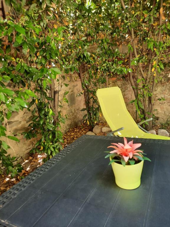 Ogród w obiekcie Au jardin de Florence