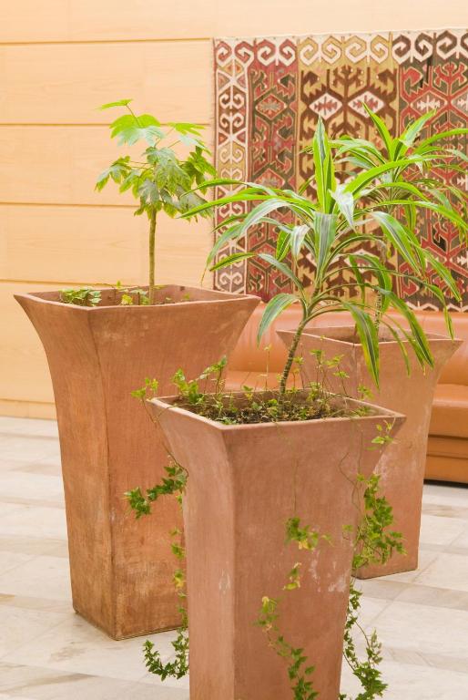 Grand Hôtel du Havre - Resim 26