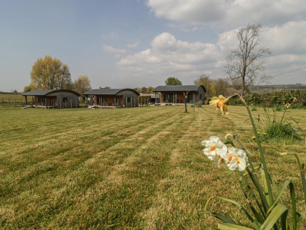 a field with houses in the background with flowers in the foreground at Bluebell in Glastonbury