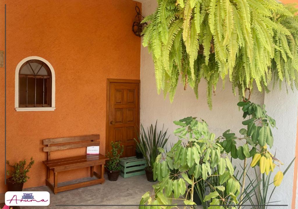 un portico con panchina e piante e un edificio di Aruma Cuernavaca a Cuernavaca