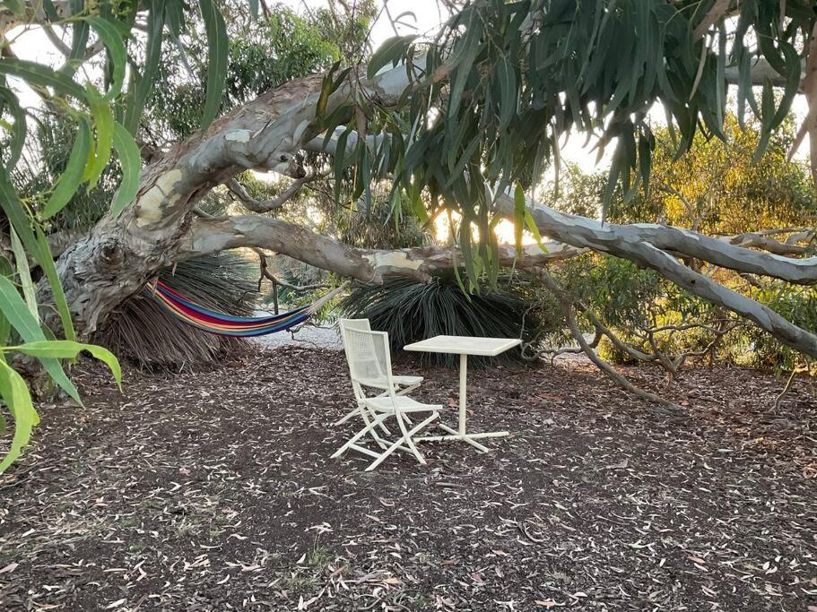 Giardino di Wedgetaildown