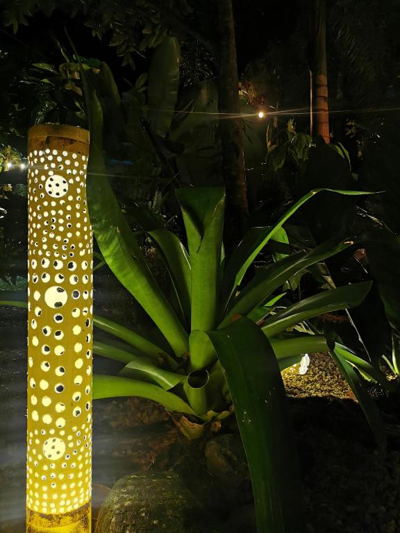 Zahrada ubytování Momotus Glamping
