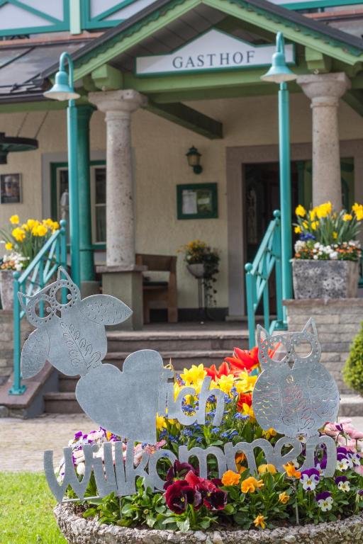 Zahrada ubytování Landhotel Drei Eichen