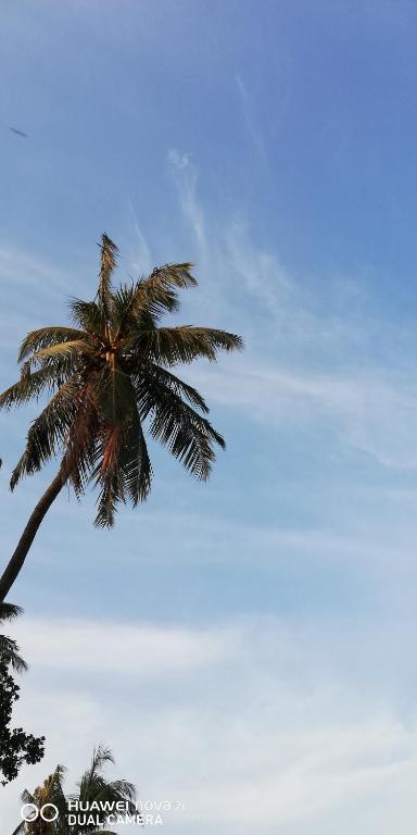 Fotografie z fotogalerie ubytování Dive beach palace v destinaci Uppuveli