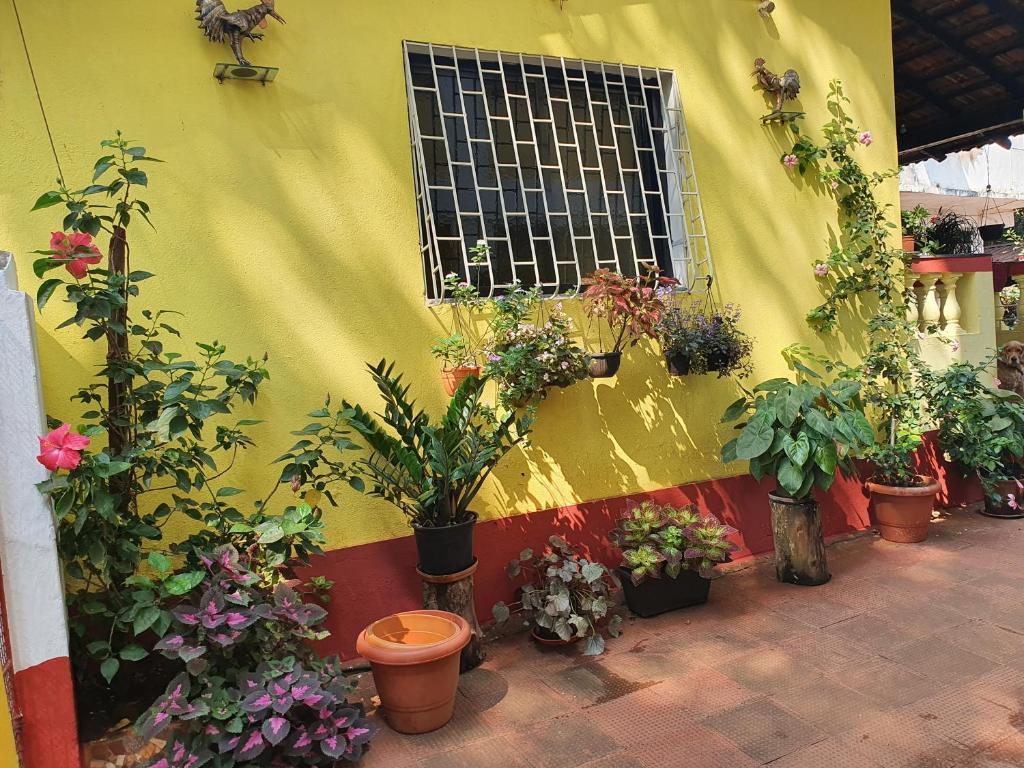Zahrada ubytování Fatima Guest House