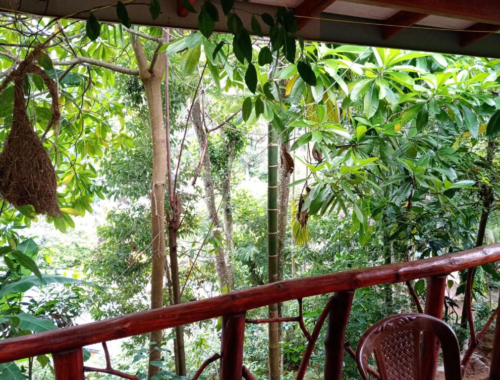 Littleadams View - 19