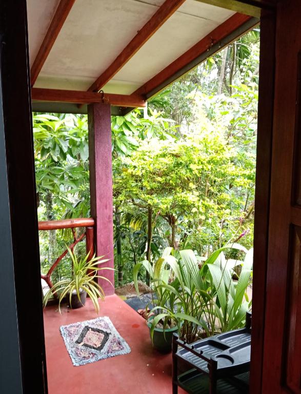 Littleadams View - 17