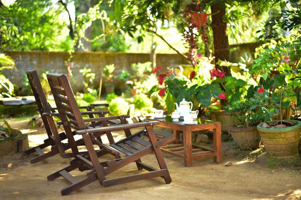 Zahrada ubytování Relax Guest House Dambulla