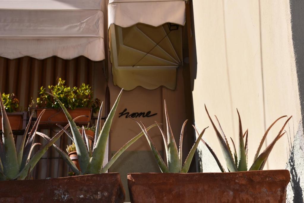 La Sosta – Photos 1
