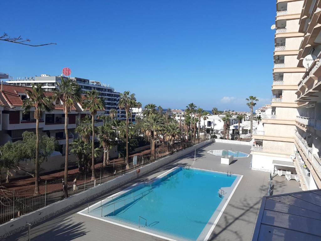 a swimming pool on the roof of a building with palm trees at Apartamentos 2 Las Americas in Playa de las Americas