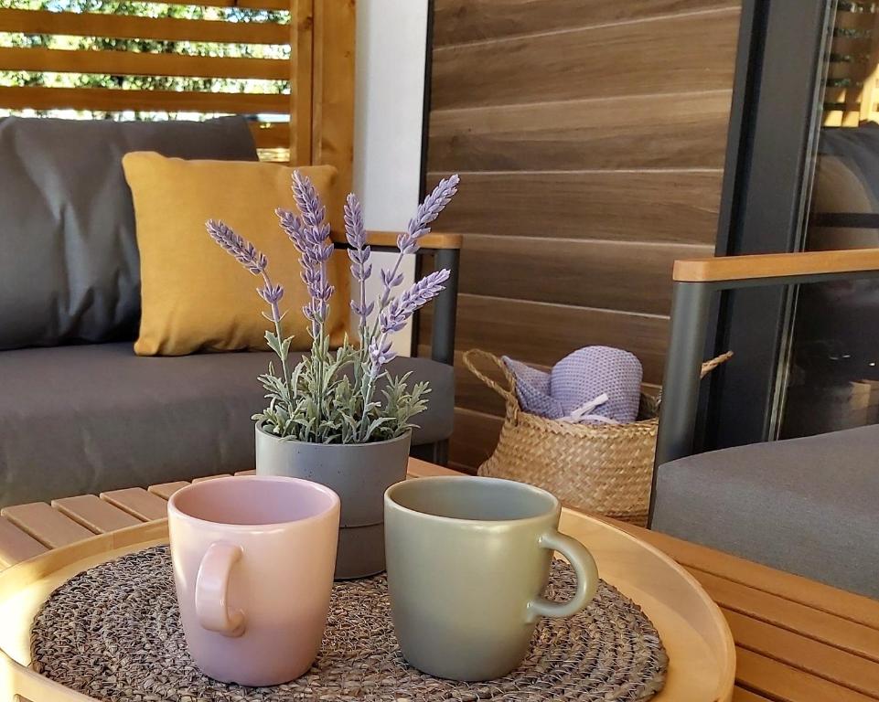Posezení v ubytování Mobile Home Sole
