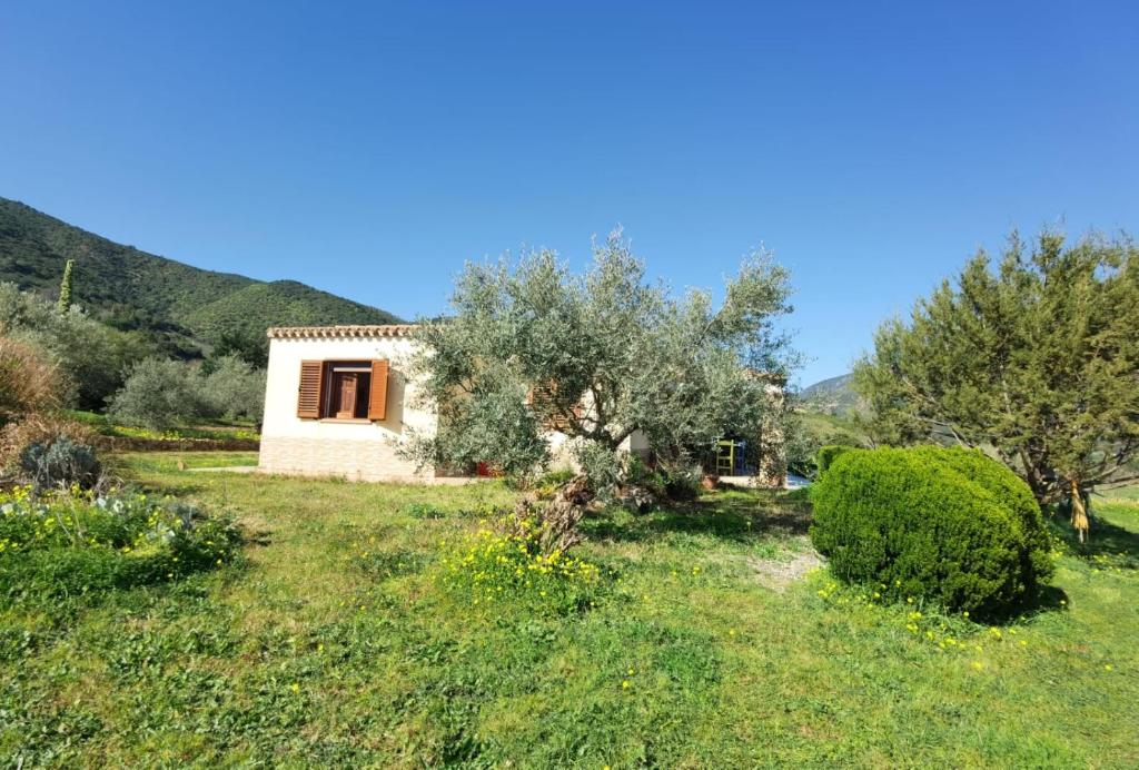 Domu abi manna a Tertenìa - Villa Vista Mare e Montagna