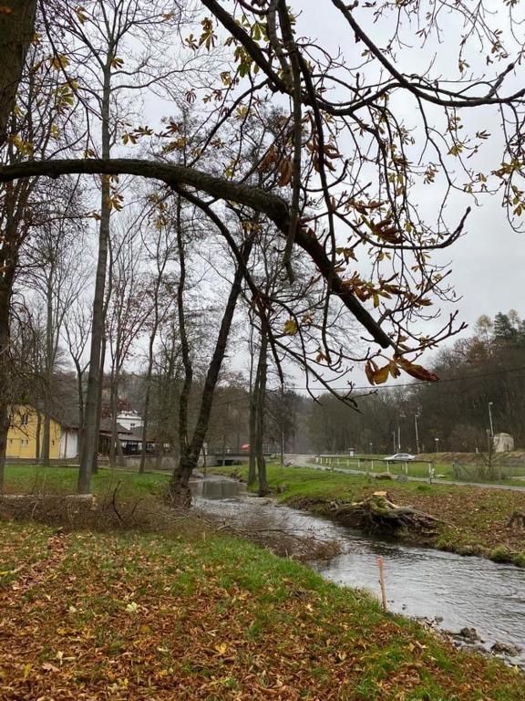 Przyroda w pobliżu tego pensjonatu