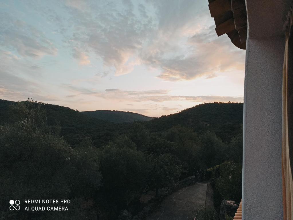 Príroda v okolí of the country house