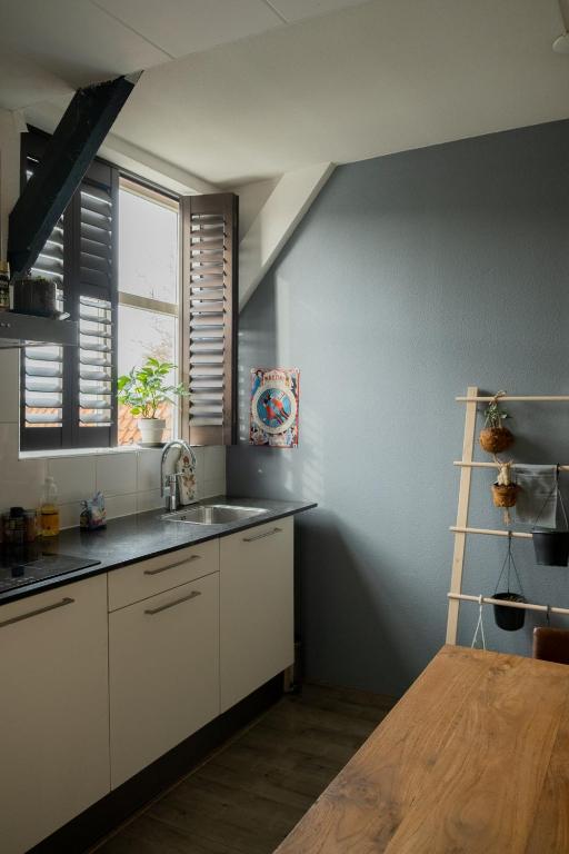 a kitchen with a sink and a window at Bed and Breakfast du Parc in Zaandam