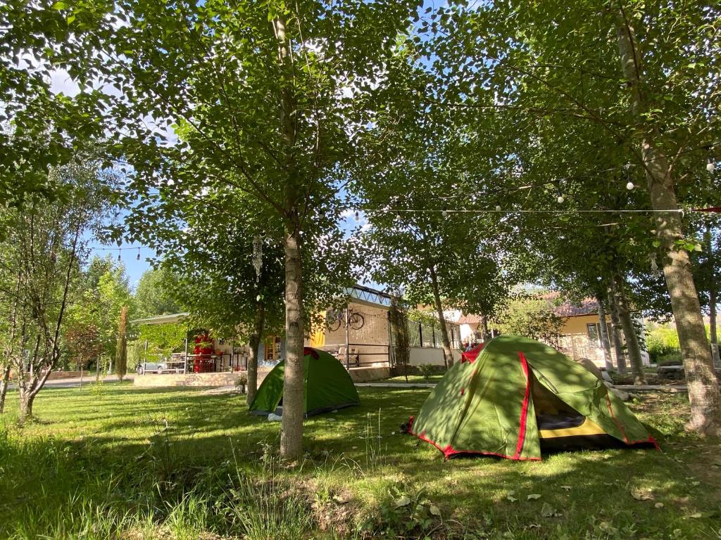 Zahrada ubytování Crossway Camping