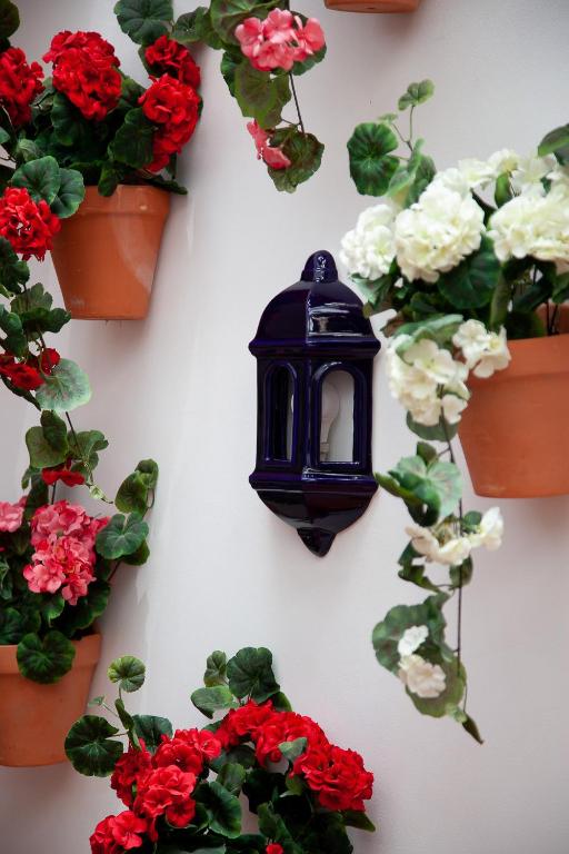 Noches en Triana - Resim 27