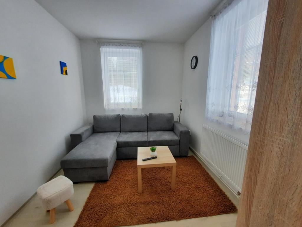 un soggiorno con divano grigio e tavolo di apartmán Kořen se saunou , Kořenov Jizerské hory a Kořenov