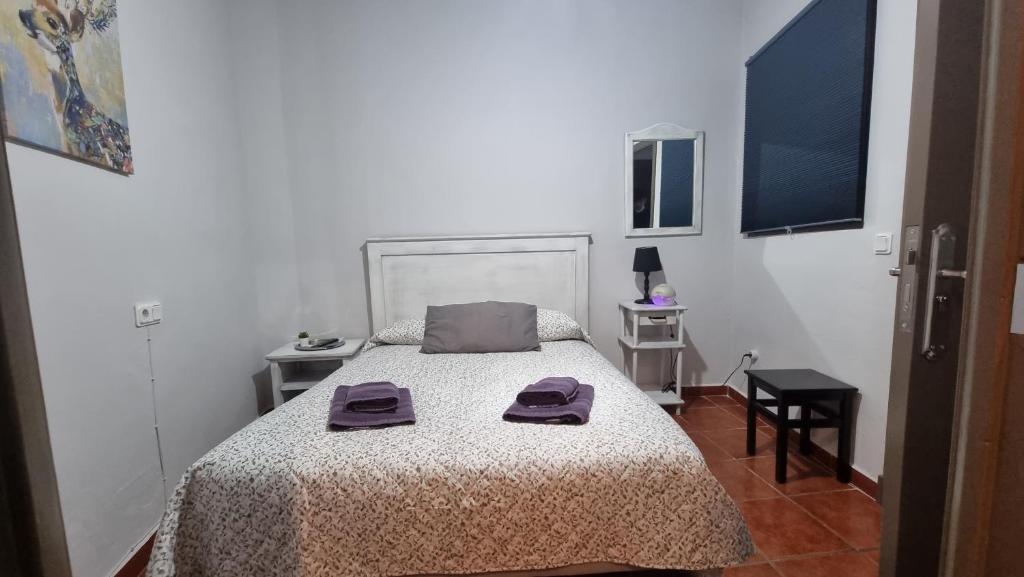 Pensión San Marcos - Chambre Lit Queen-Size Standard