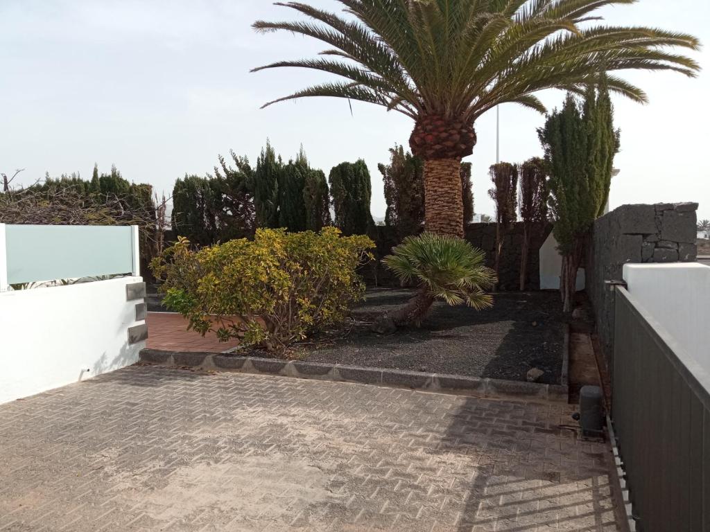 Fotografie z fotogalerie ubytování VILLA MARTA v destinaci Playa Blanca