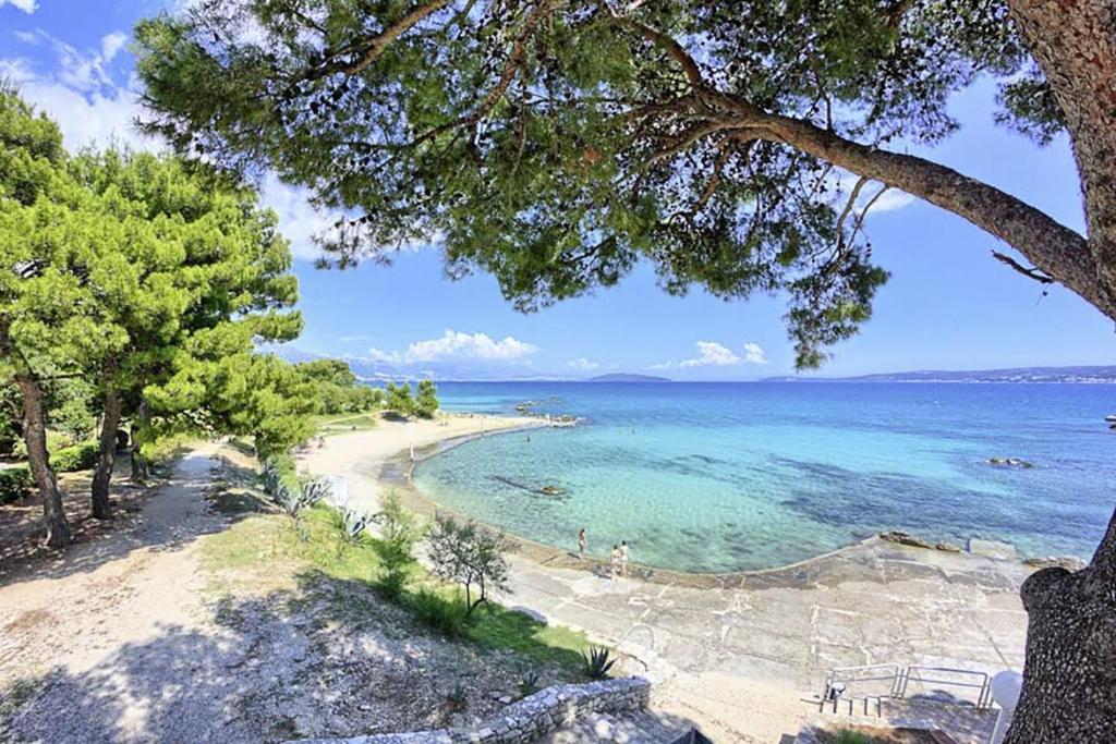 卡斯泰拉的住宿－Bonaca in Kaštela - Dalmatien，享有树木和水景海滩