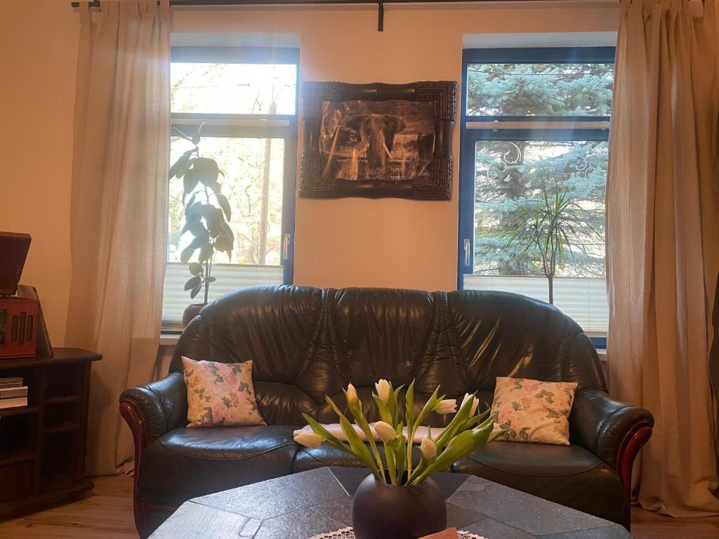 a living room with a leather couch and two windows at Tannenhaus Hohen Mistorf in Alt Sührkow