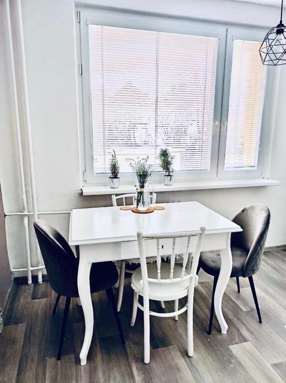 Fotografie z fotogalerie ubytování Apartmán Domov Děčín v destinaci Děčín